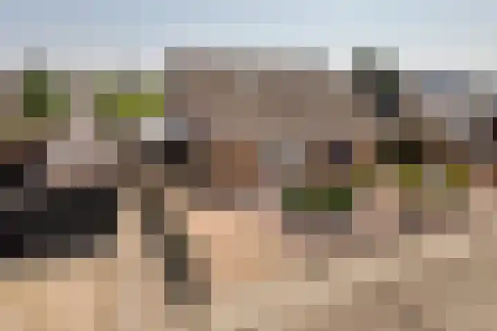 Korenbloemstraat 1 Eck en Wiel thumbnail 38