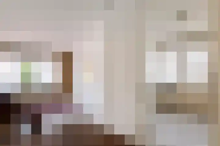 Korenbloemstraat 1 Eck en Wiel thumbnail 8
