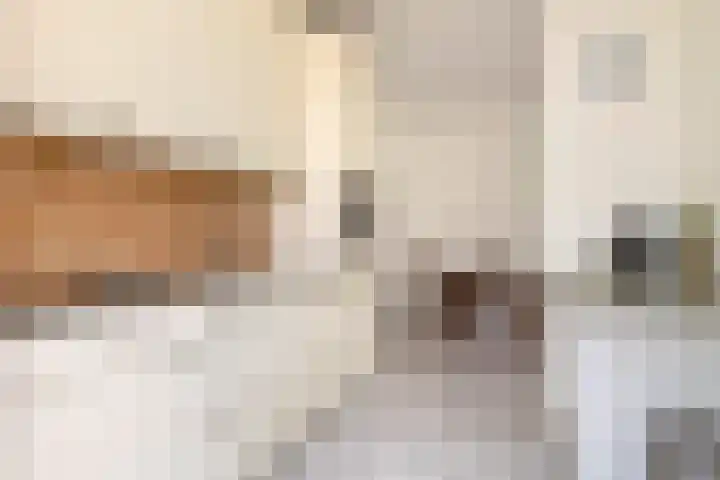 Korenbloemstraat 1 Eck en Wiel thumbnail 9