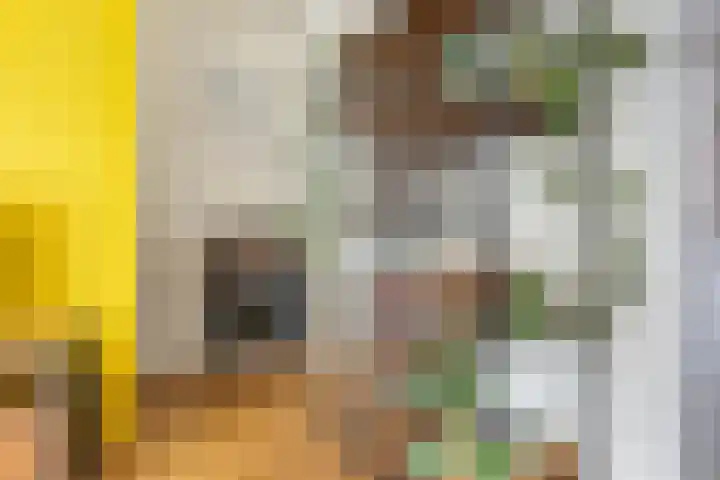 Korenbloemstraat 10 Groningen thumbnail 15