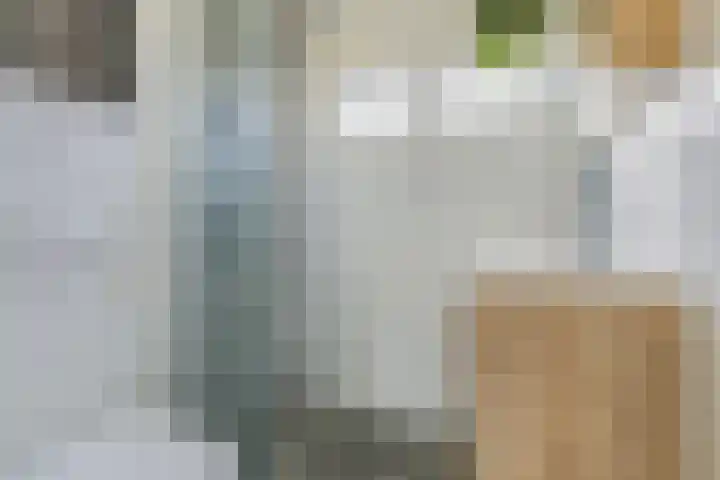 Korenbloemstraat 10 Groningen thumbnail 33