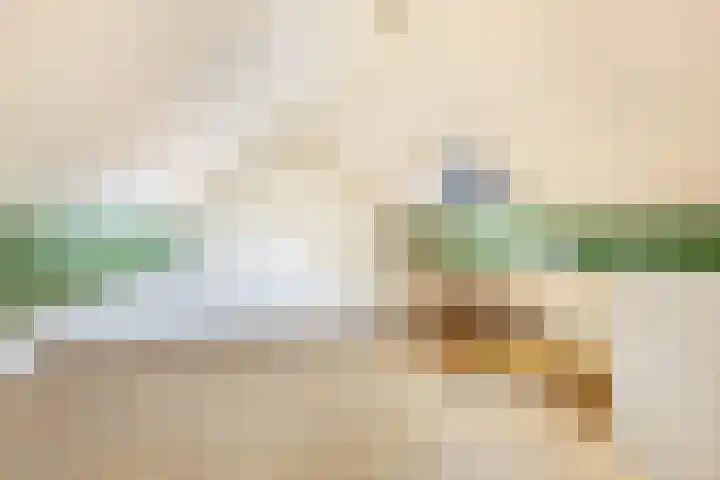 Korenbloemstraat 10 Groningen thumbnail 36