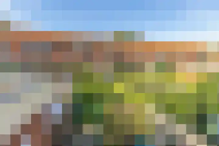 Korenbloemstraat 10 Groningen thumbnail 42