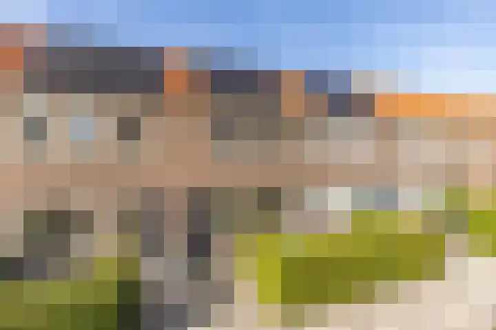 Korenbloemstraat 10 Groningen thumbnail 5