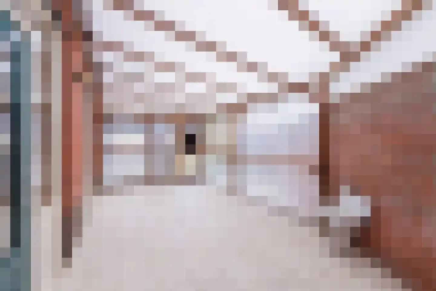 Korenbloemstraat 100 Tilburg thumbnail 33