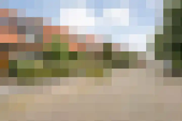 Korenbloemstraat 107 Zwolle thumbnail 6