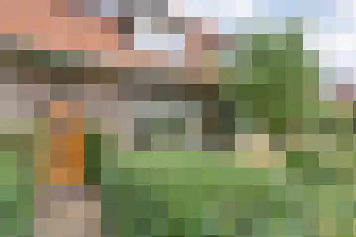 Korenbloemstraat 107 Zwolle thumbnail 7