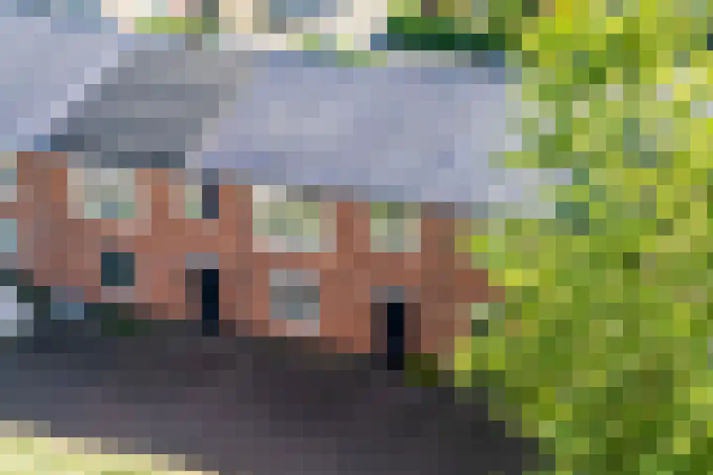 Korenbloemstraat 11 Doetinchem thumbnail 36