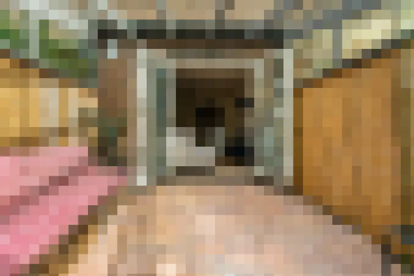 Korenbloemstraat 12 Alkmaar thumbnail 30