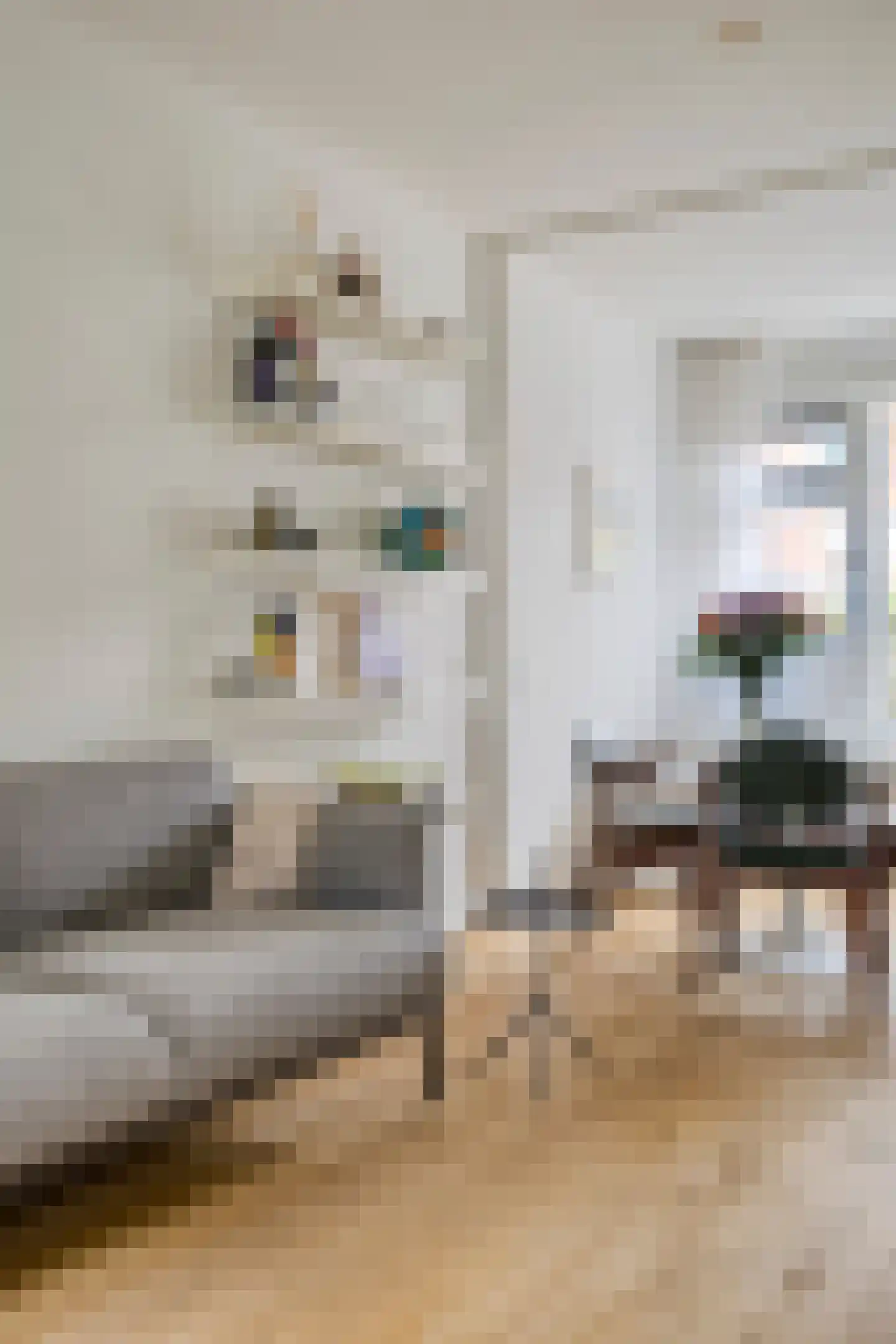 Korenbloemstraat 12 Groningen thumbnail 13