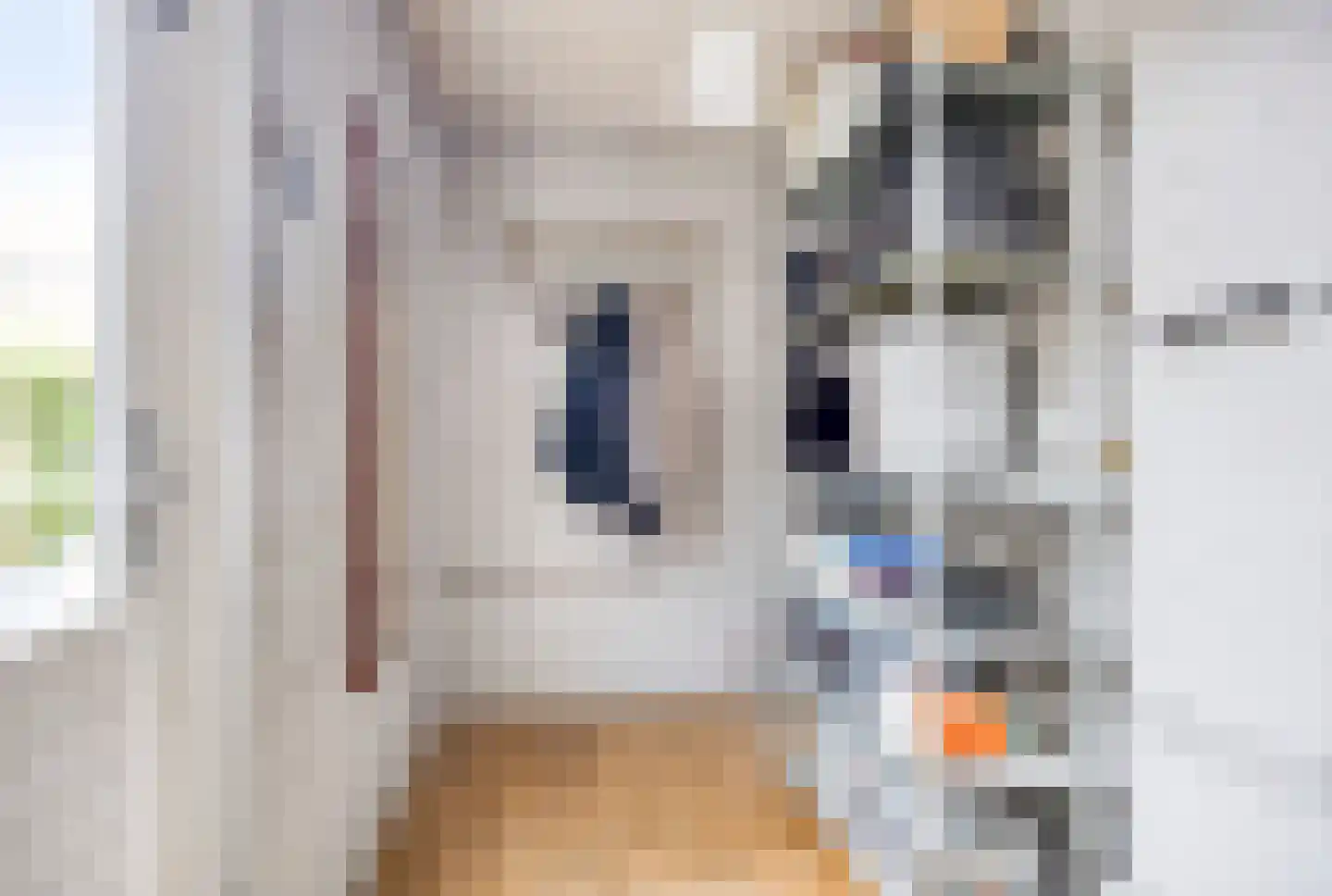 Korenbloemstraat 12 Groningen thumbnail 17