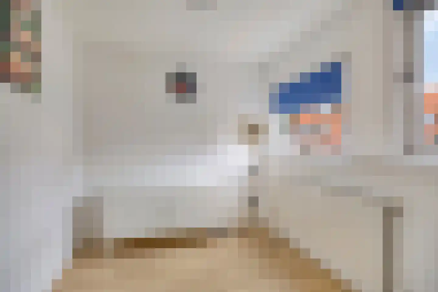 Korenbloemstraat 12 Groningen thumbnail 26