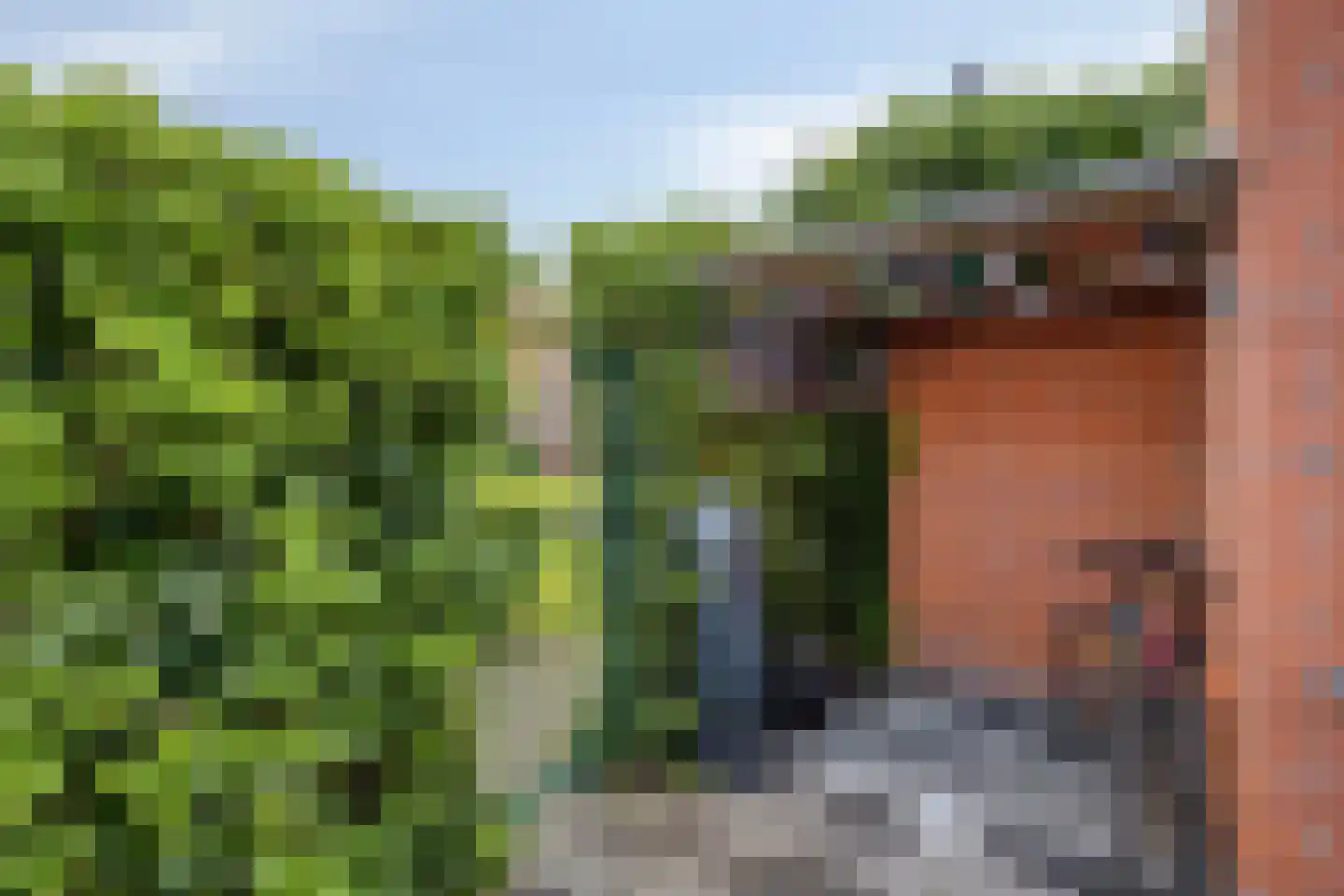 Korenbloemstraat 12 Groningen thumbnail 30