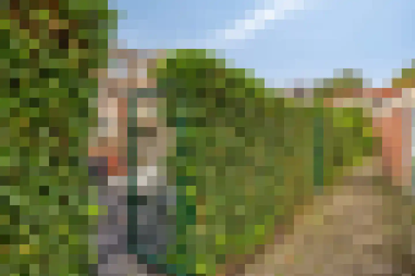 Korenbloemstraat 12 Groningen thumbnail 31