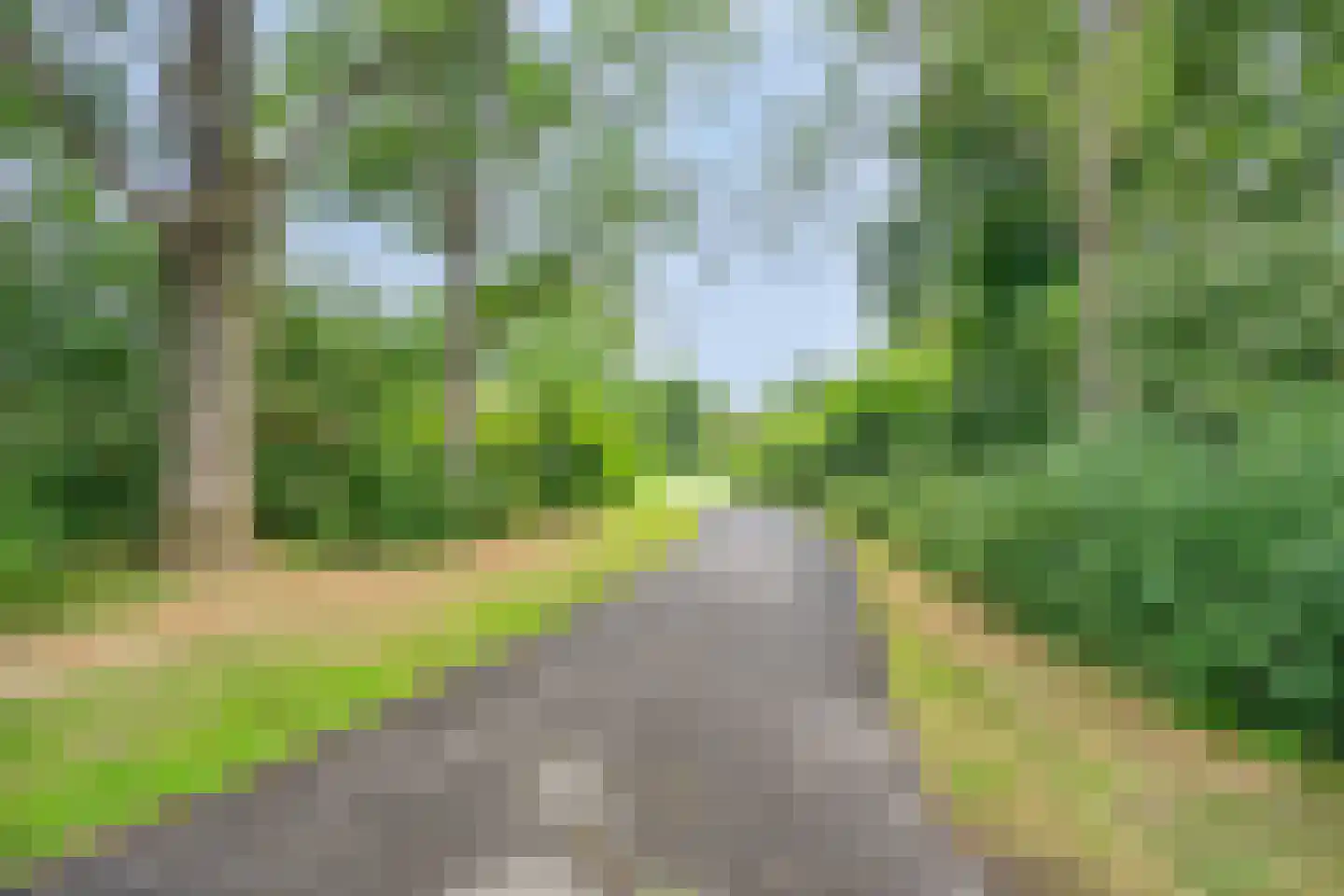 Korenbloemstraat 12 Groningen thumbnail 34