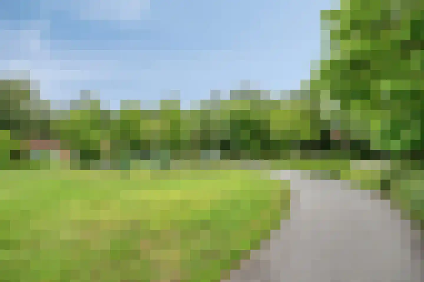 Korenbloemstraat 12 Groningen thumbnail 35