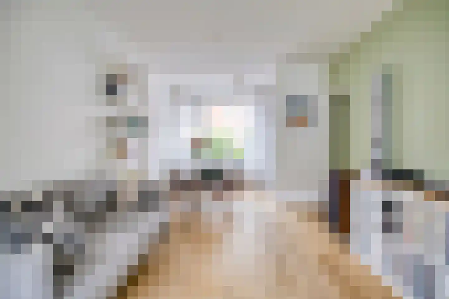Korenbloemstraat 12 Groningen thumbnail 8