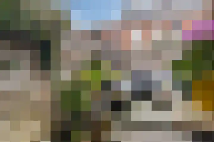 Korenbloemstraat 12 Utrecht thumbnail 16