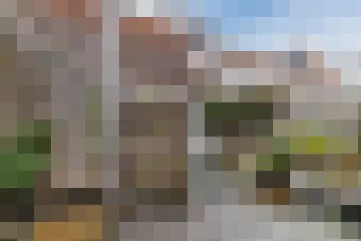 Korenbloemstraat 12 Utrecht thumbnail 19