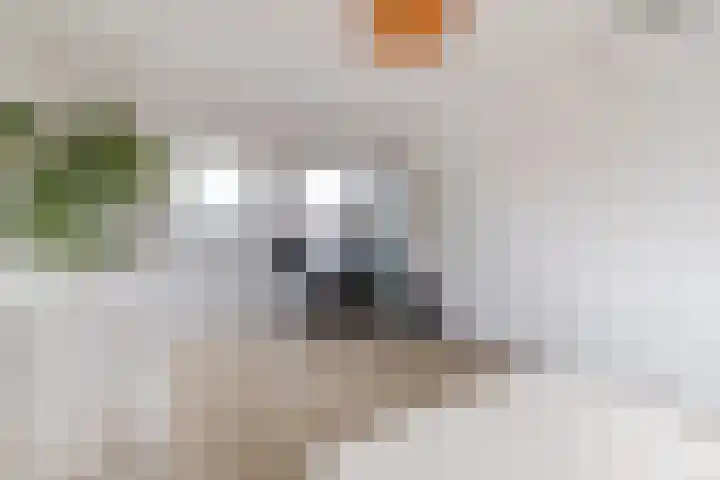 Korenbloemstraat 12 Utrecht thumbnail 45