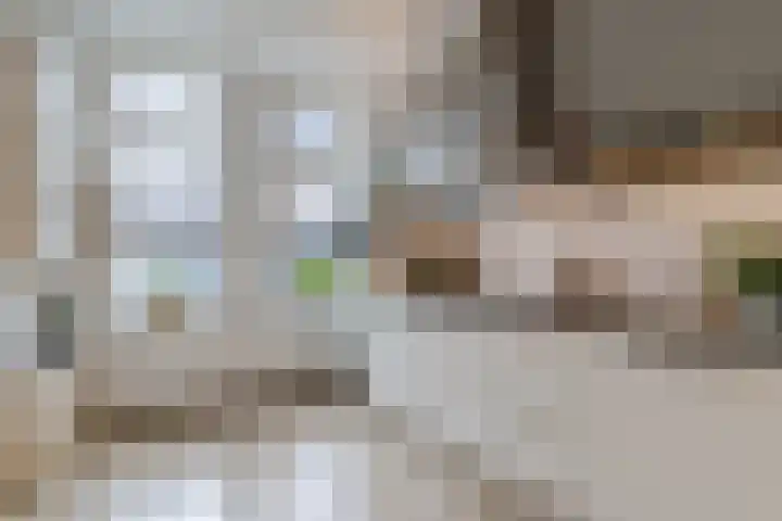 Korenbloemstraat 12 Utrecht thumbnail 7