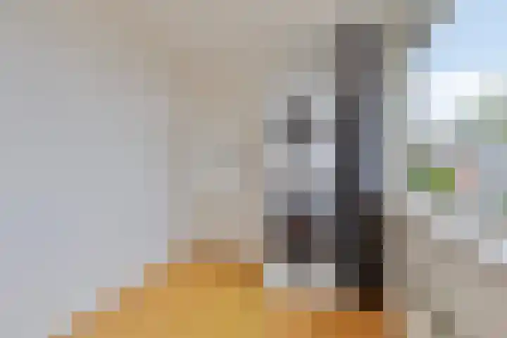 Korenbloemstraat 12 Waalwijk thumbnail 18