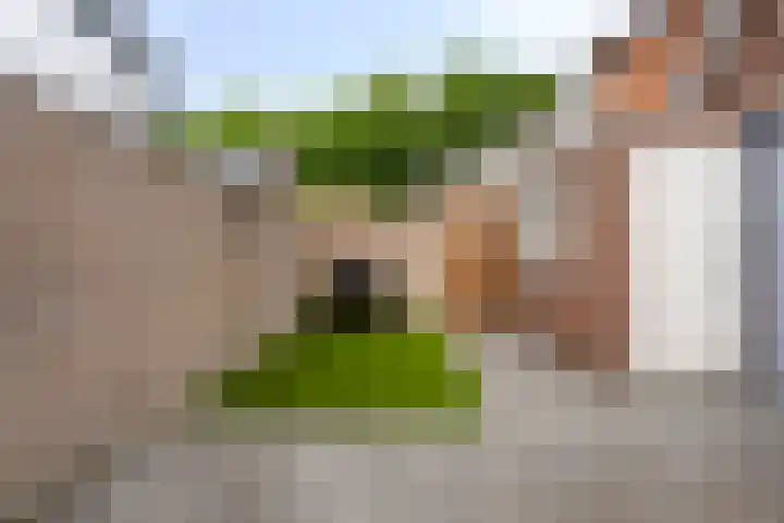 Korenbloemstraat 12 Waalwijk thumbnail 22