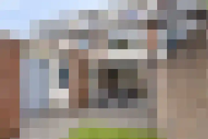 Korenbloemstraat 12 Waalwijk thumbnail 23
