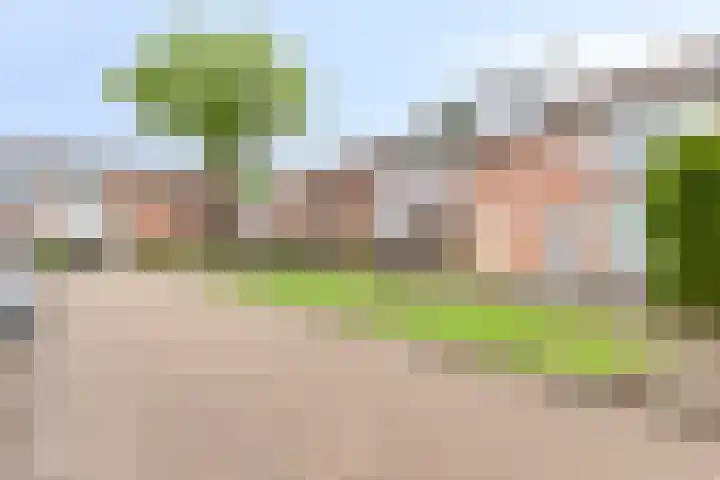 Korenbloemstraat 12 Waalwijk thumbnail 6