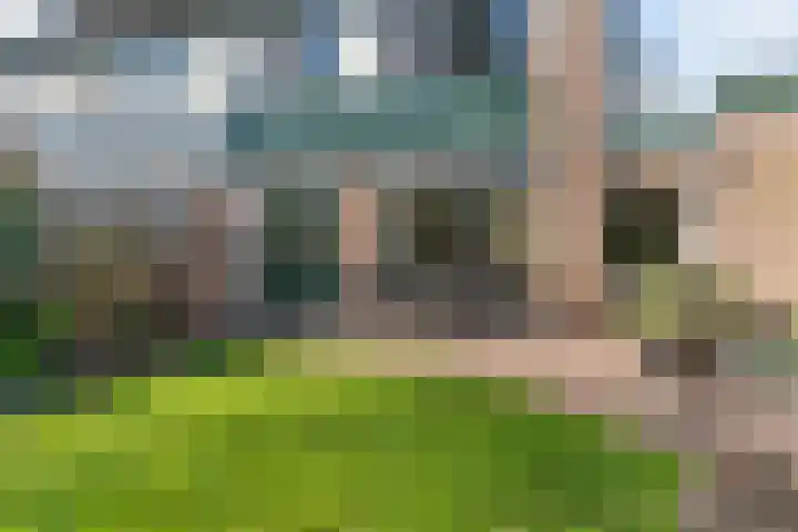 Korenbloemstraat 13 Renkum thumbnail 28