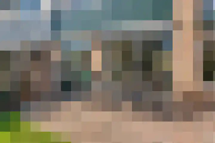 Korenbloemstraat 13 Renkum thumbnail 31