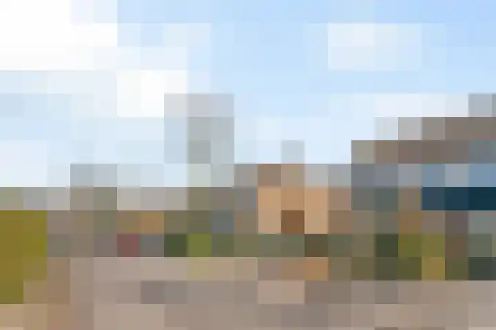 Korenbloemstraat 13 Renkum thumbnail 35