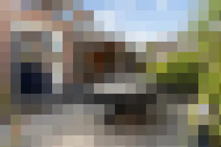 Korenbloemstraat 14 Eibergen thumbnail 34