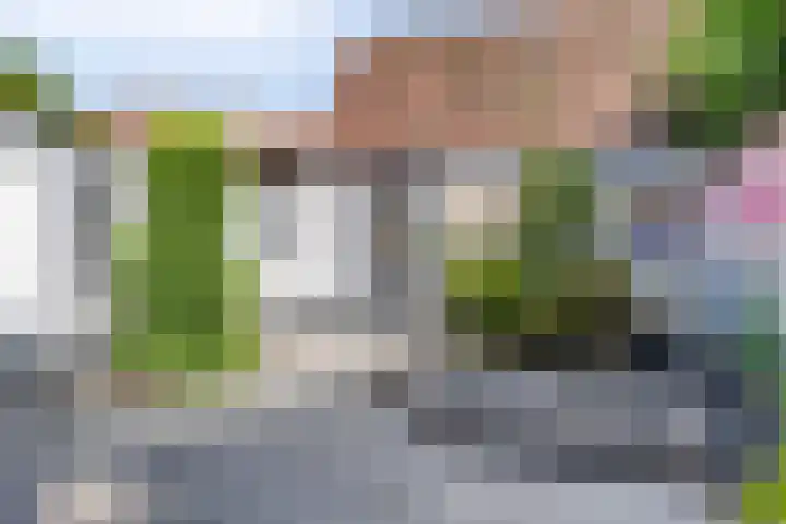 Korenbloemstraat 14 Helmond thumbnail 30