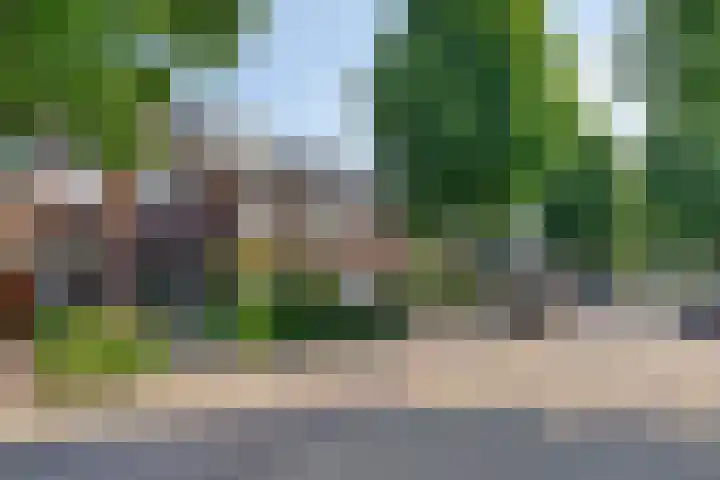 Korenbloemstraat 14 Helmond thumbnail 36