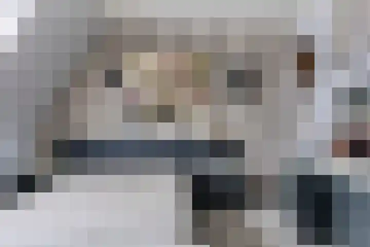 Korenbloemstraat 14 Helmond thumbnail 4