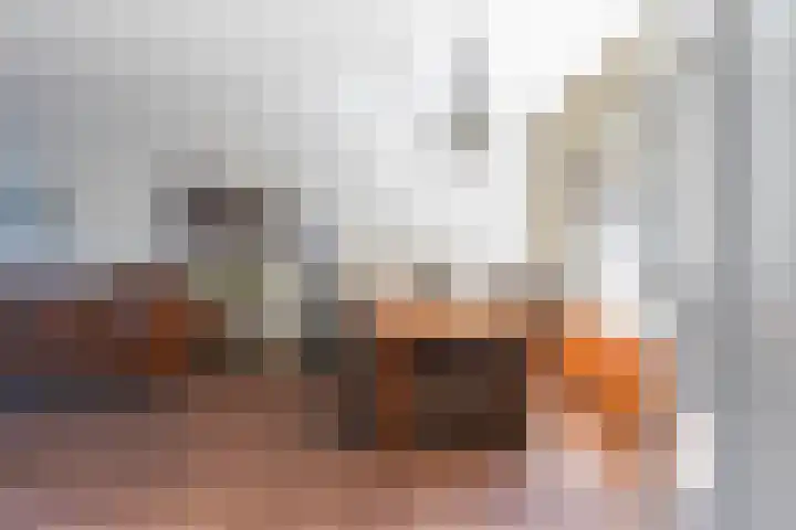 Korenbloemstraat 147 Tilburg thumbnail 15