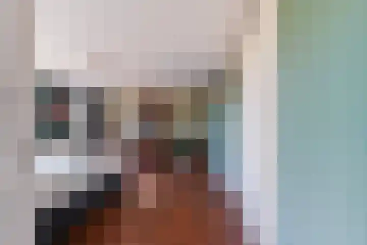 Korenbloemstraat 147 Tilburg thumbnail 22