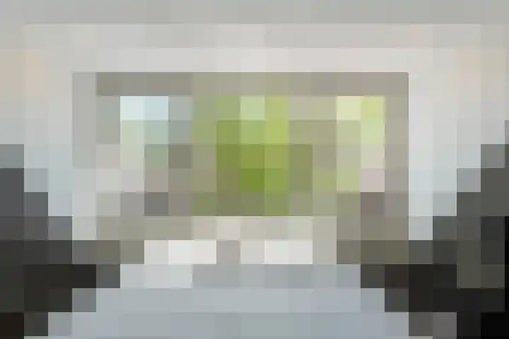 Korenbloemstraat 147 Tilburg thumbnail 32