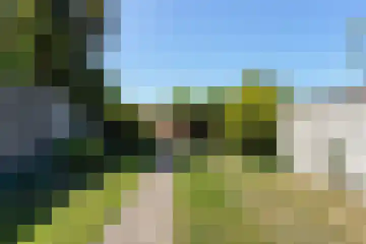 Korenbloemstraat 147 Tilburg thumbnail 36