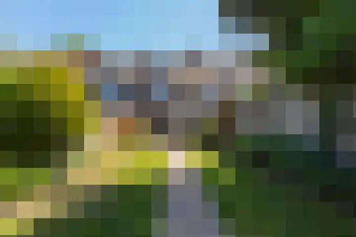 Korenbloemstraat 147 Tilburg thumbnail 37