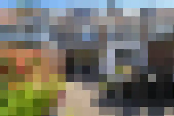 Korenbloemstraat 147 Tilburg thumbnail 39
