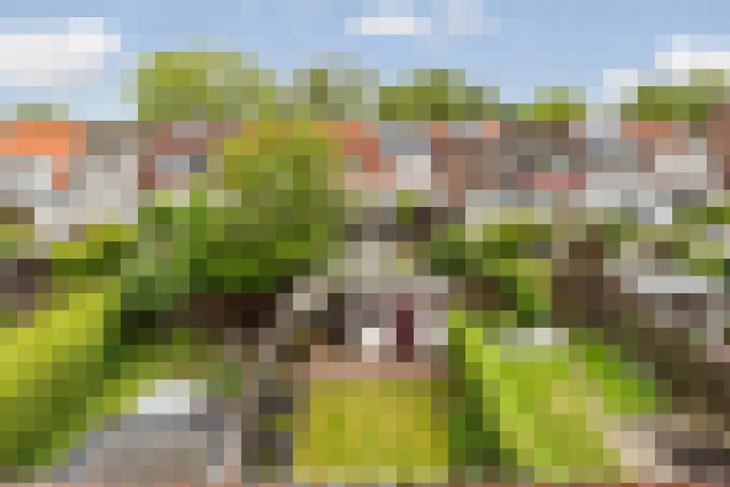 Korenbloemstraat 16 Nijmegen thumbnail 32