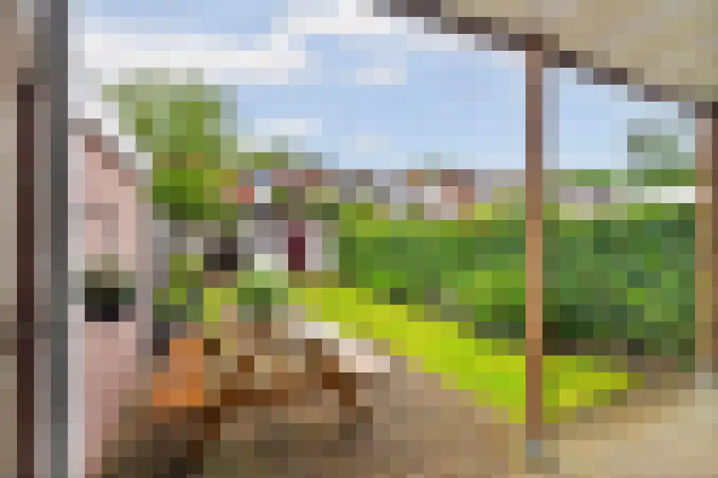 Korenbloemstraat 16 Nijmegen thumbnail 34