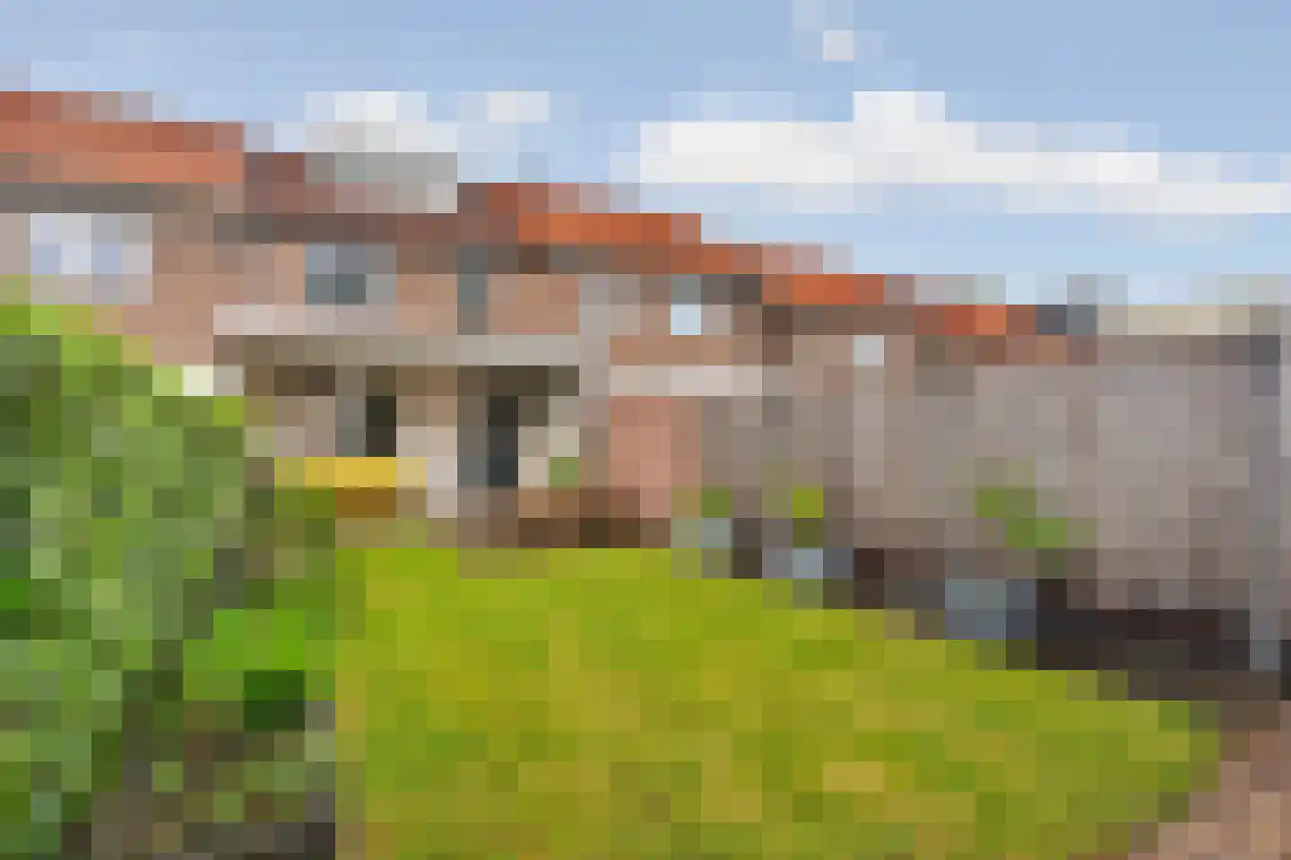 Korenbloemstraat 16 Nijmegen thumbnail 39