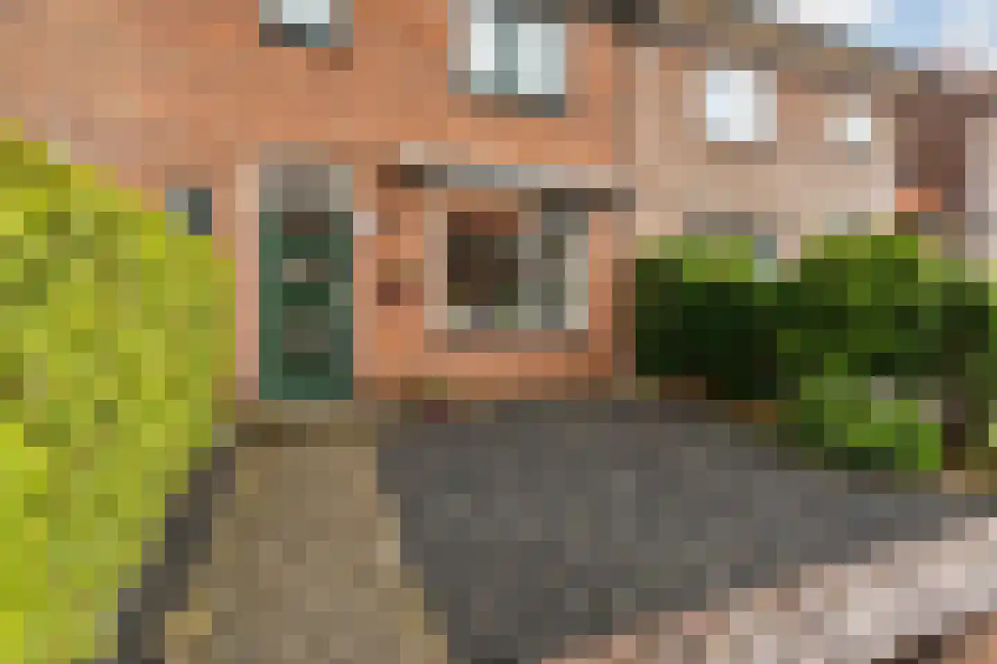 Korenbloemstraat 16 Nijmegen thumbnail 4
