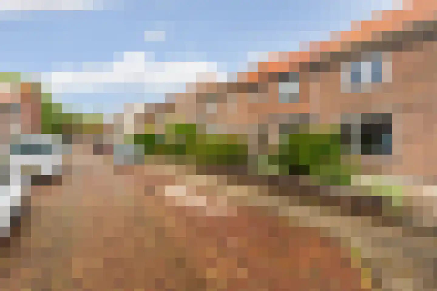 Korenbloemstraat 16 Nijmegen thumbnail 42
