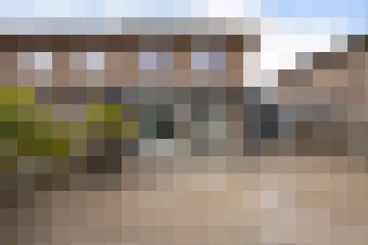 Korenbloemstraat 17 Appingedam thumbnail 42