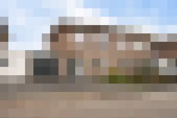 Korenbloemstraat 17 Appingedam thumbnail 6