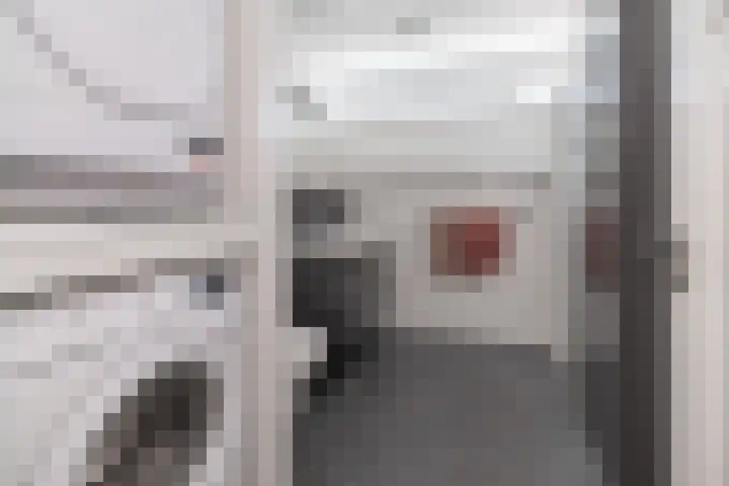 Korenbloemstraat 17 Barneveld thumbnail 23